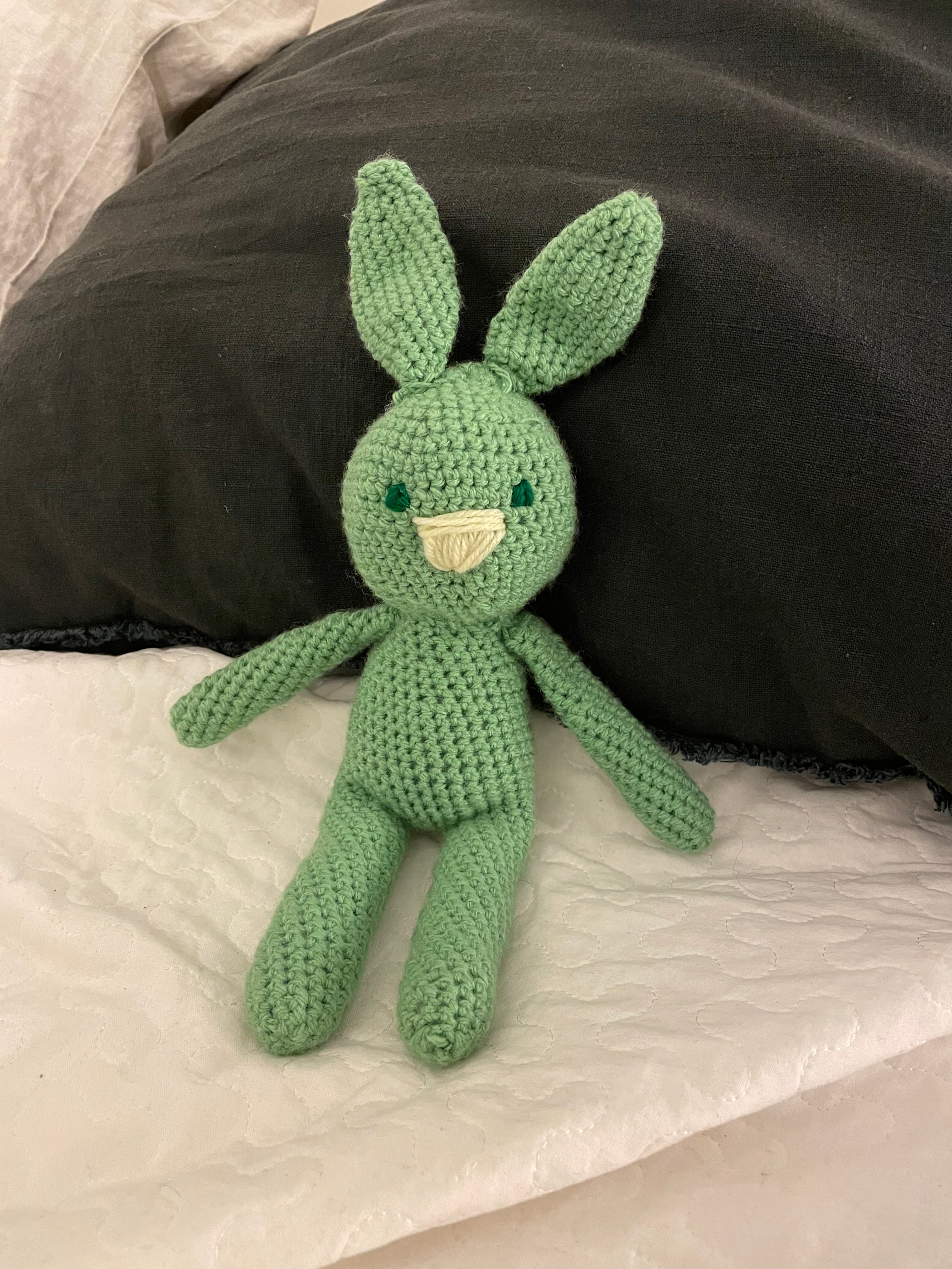 Craft project 11