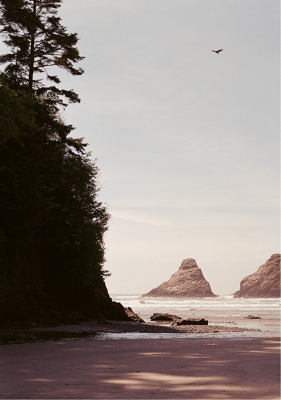Photography project 2